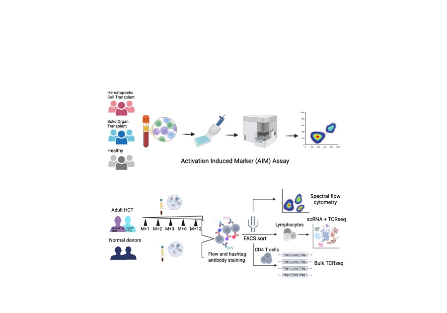 Spatial view of cellular neighborhoods