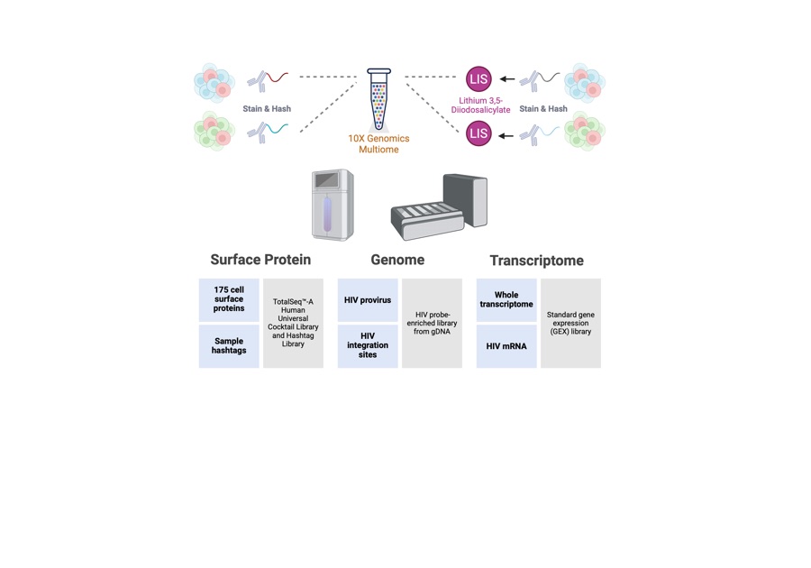 Fluorescence image of cellular state signatures